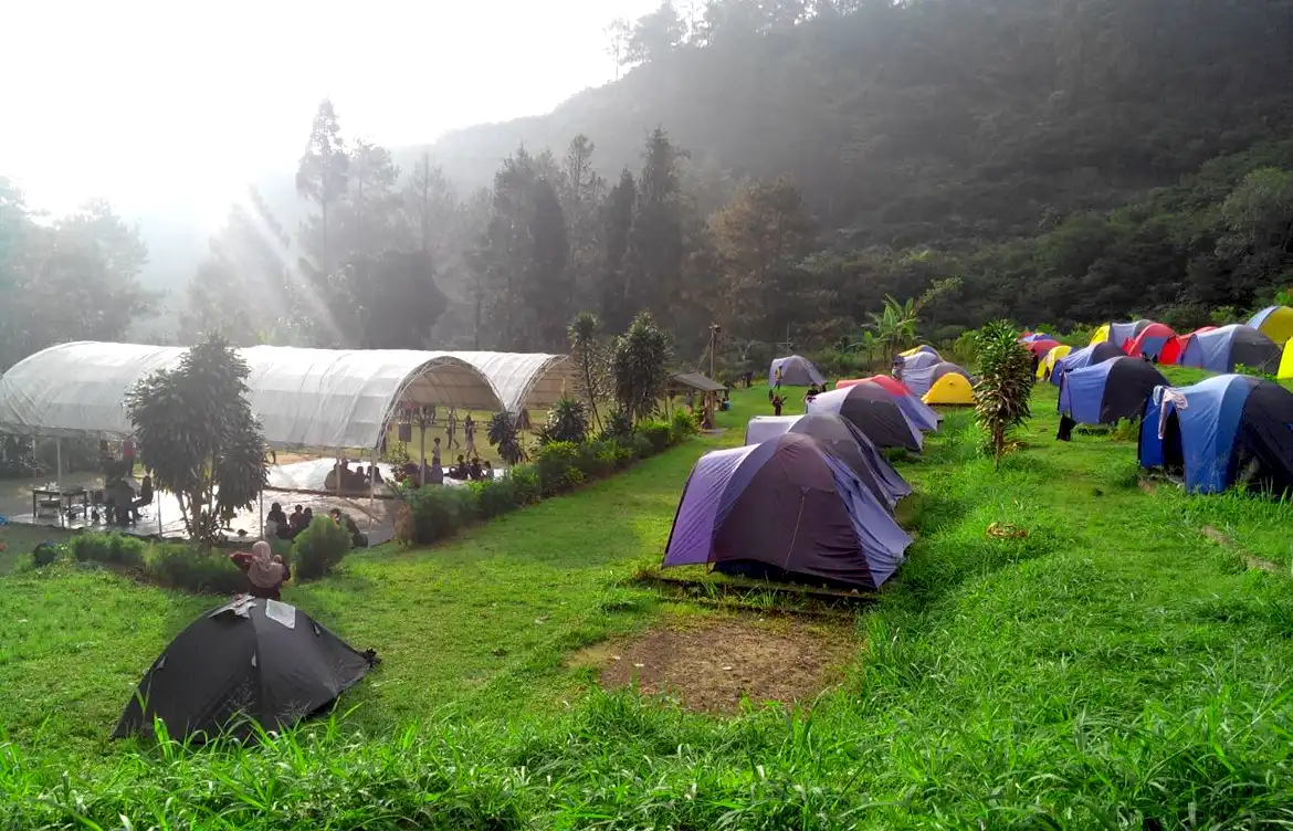D’Jungle Private Camp