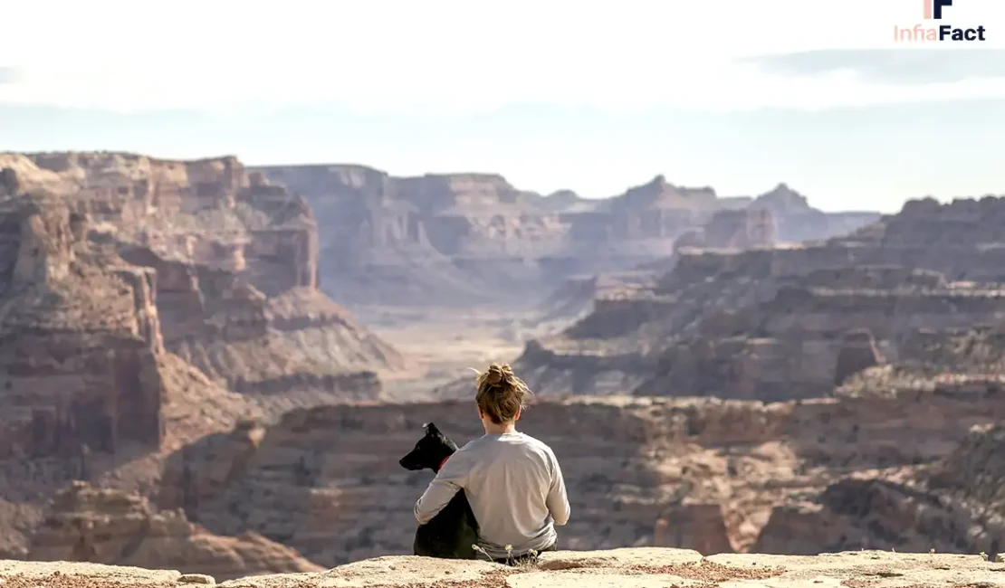 Tips Memelihara Anjing Bagi Perempuan