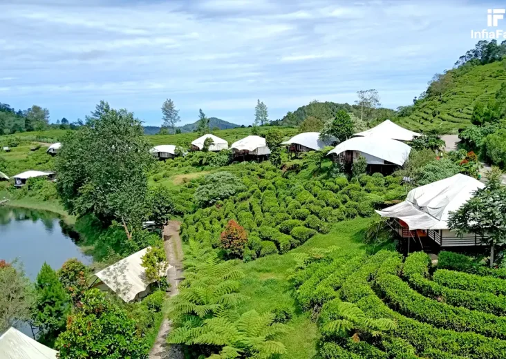 Kenapa Glamping Semakin Populer