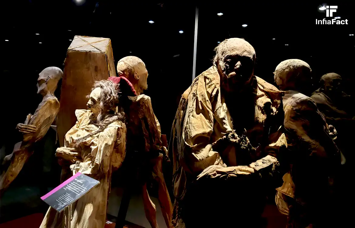 Fakta Museum Dunia